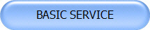 BASIC SERVICE